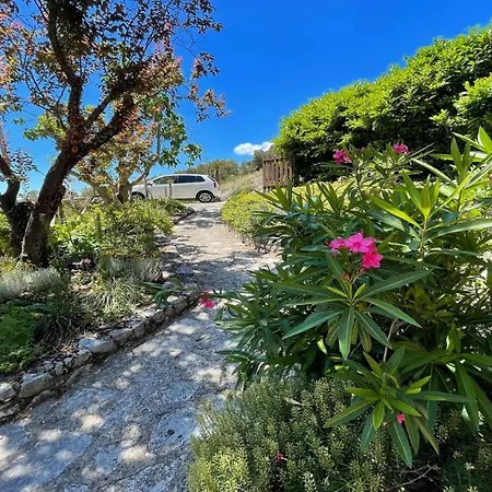 Charming With Pool Onsite