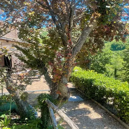 Charming With Pool Onsite